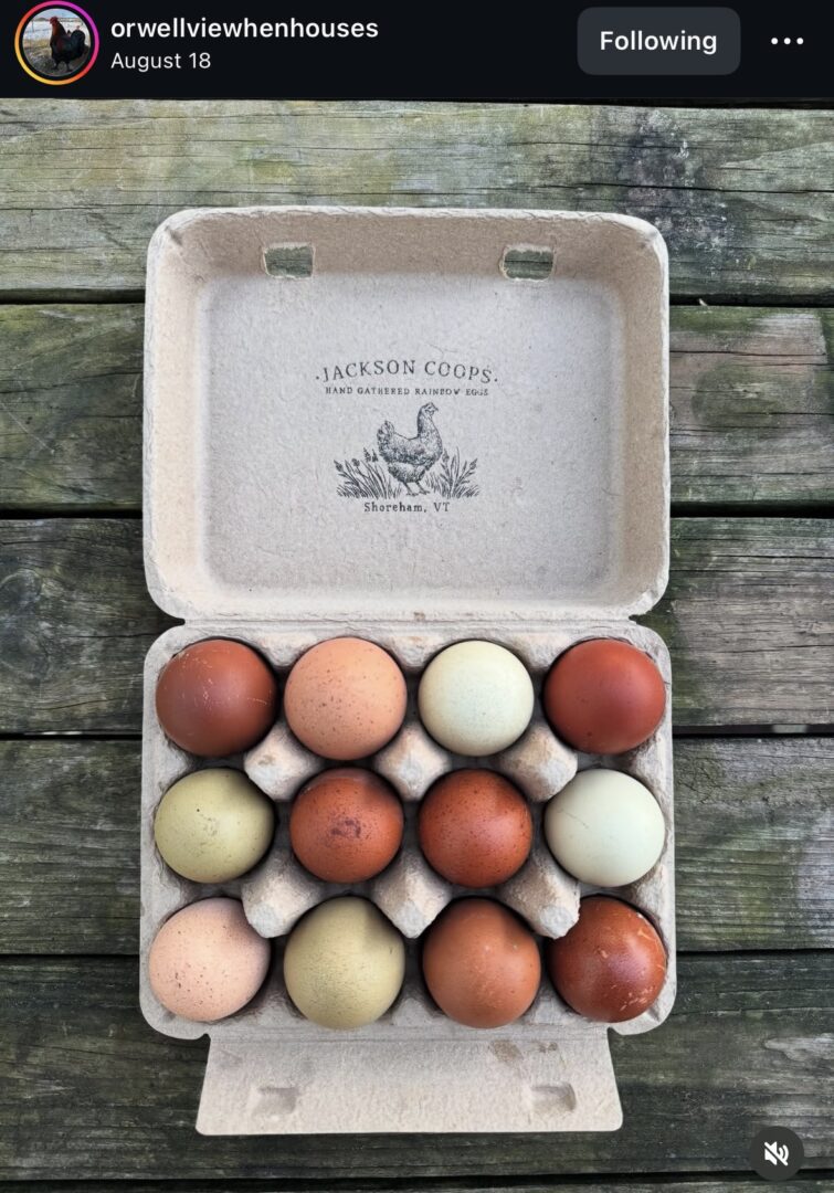 Carton of assorted colorful eggs on wood.