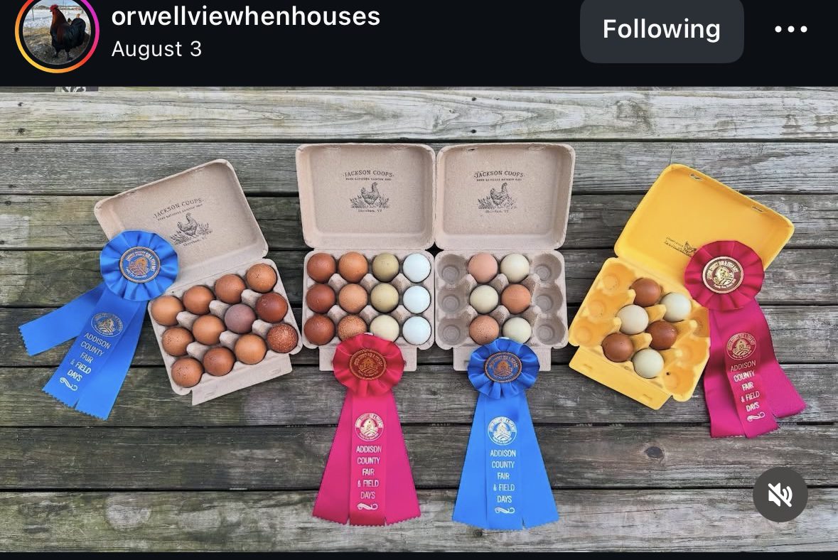 Egg cartons with ribbons on wooden surface.