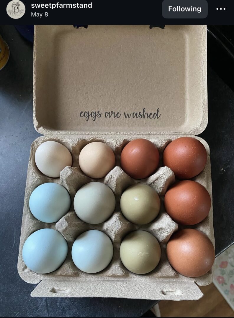 Cardboard carton reading 'eggs are washed' inside