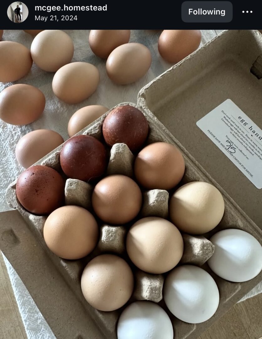 Variety of eggs in carton and table.