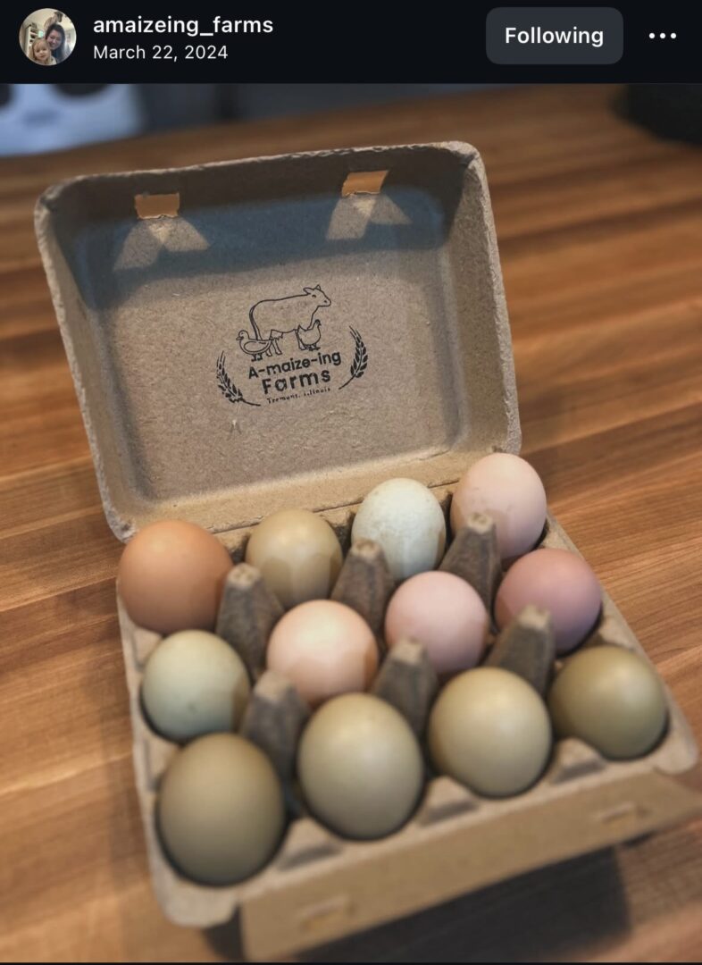 Carton of colorful farm-fresh eggs displayed.