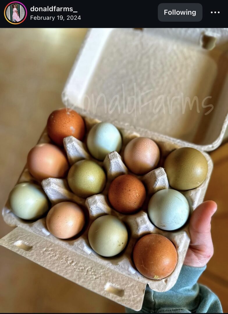 A dozen colorful farm fresh eggs.