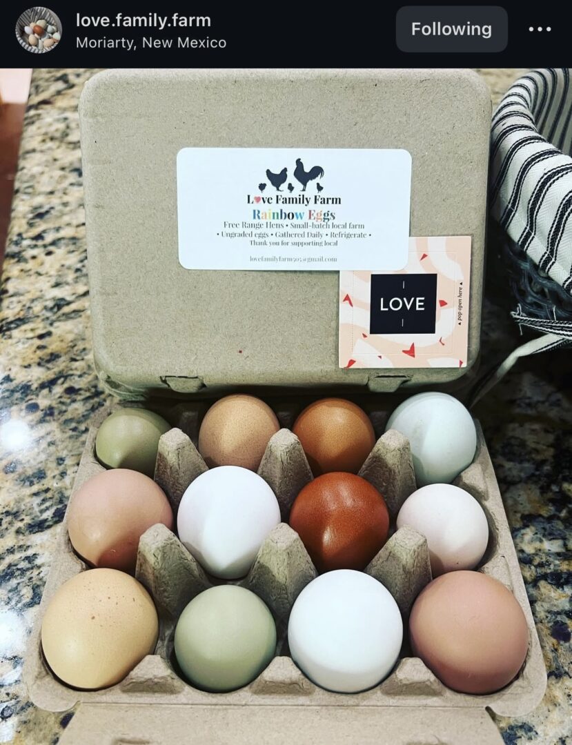 Carton of assorted colored eggs on counter.