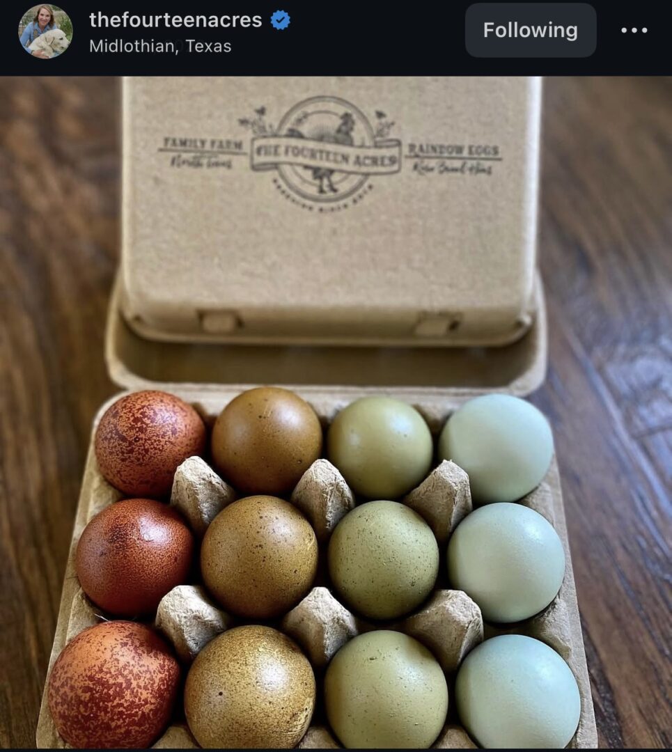 Speckled and pastel eggs in cardboard carton