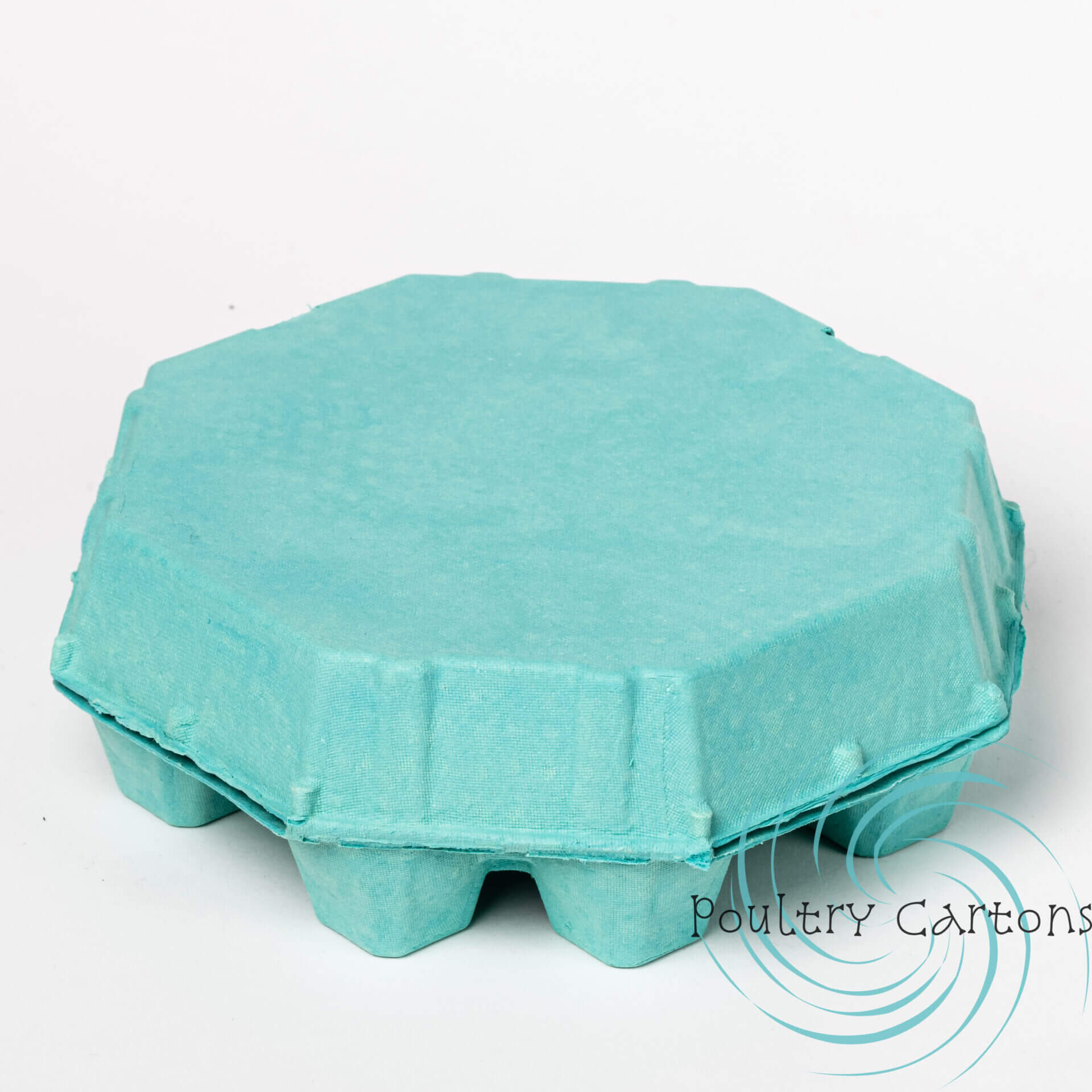 Turquoise egg carton closed textured lid