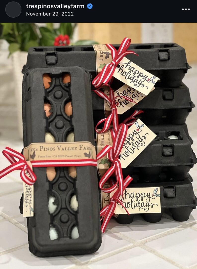 Holiday-themed egg cartons with festive ribbons.