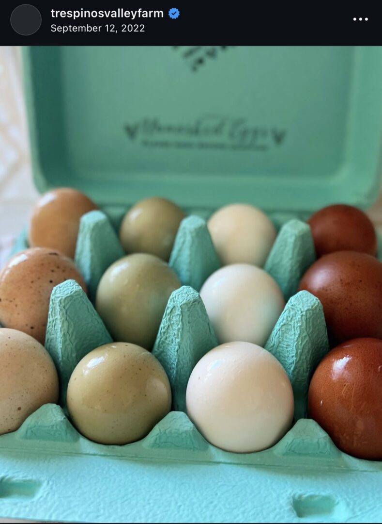 Close-up multicolored eggs in teal carton