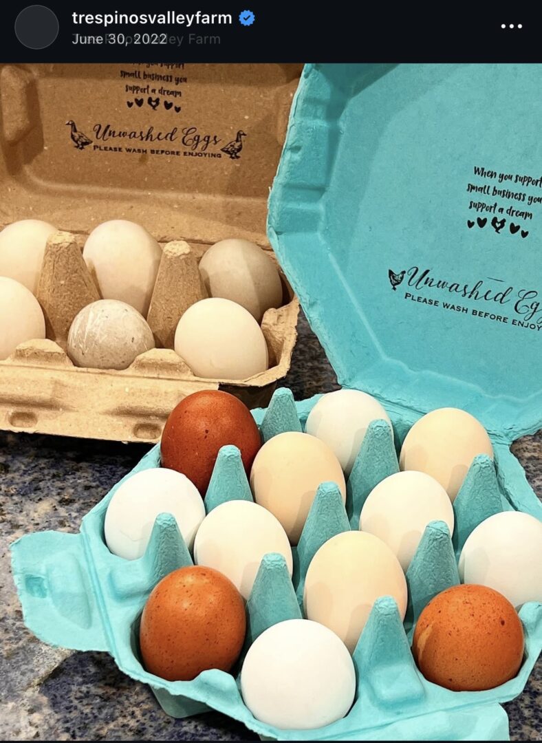 Variety of eggs in colorful cartons.
