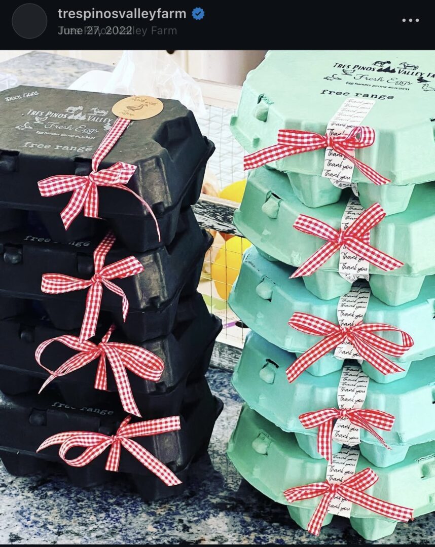 Egg cartons with red checkered bows.