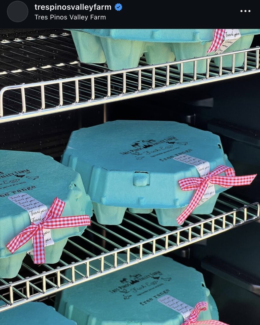 Blue egg cartons on metal shelves.