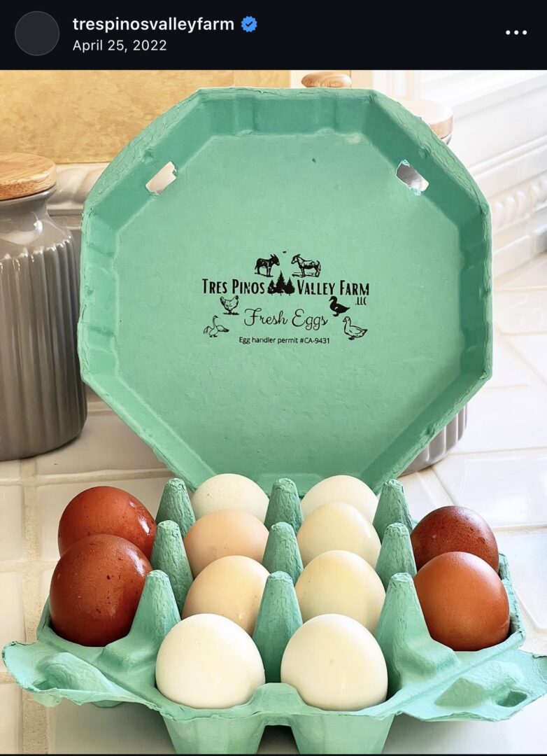 Teal carton of mixed brown and white eggs