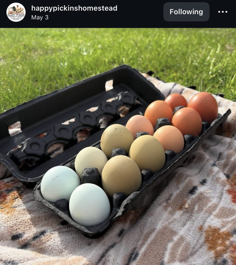Carton of colorful eggs on a blanket.