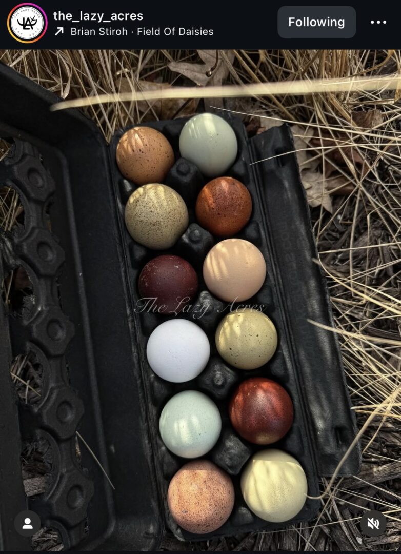 Speckled pastel and metallic eggs in carton