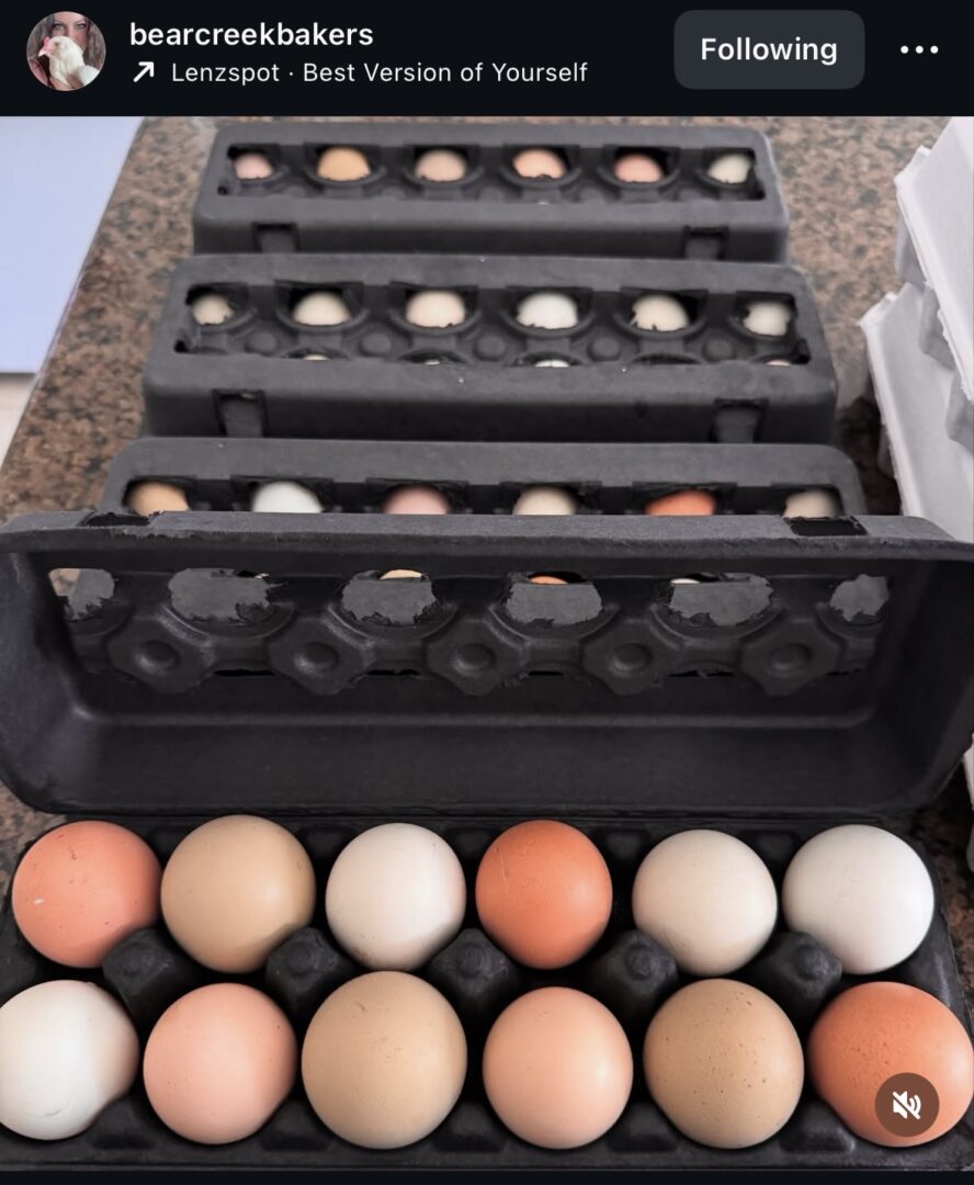 Cartons of assorted eggs on a countertop.