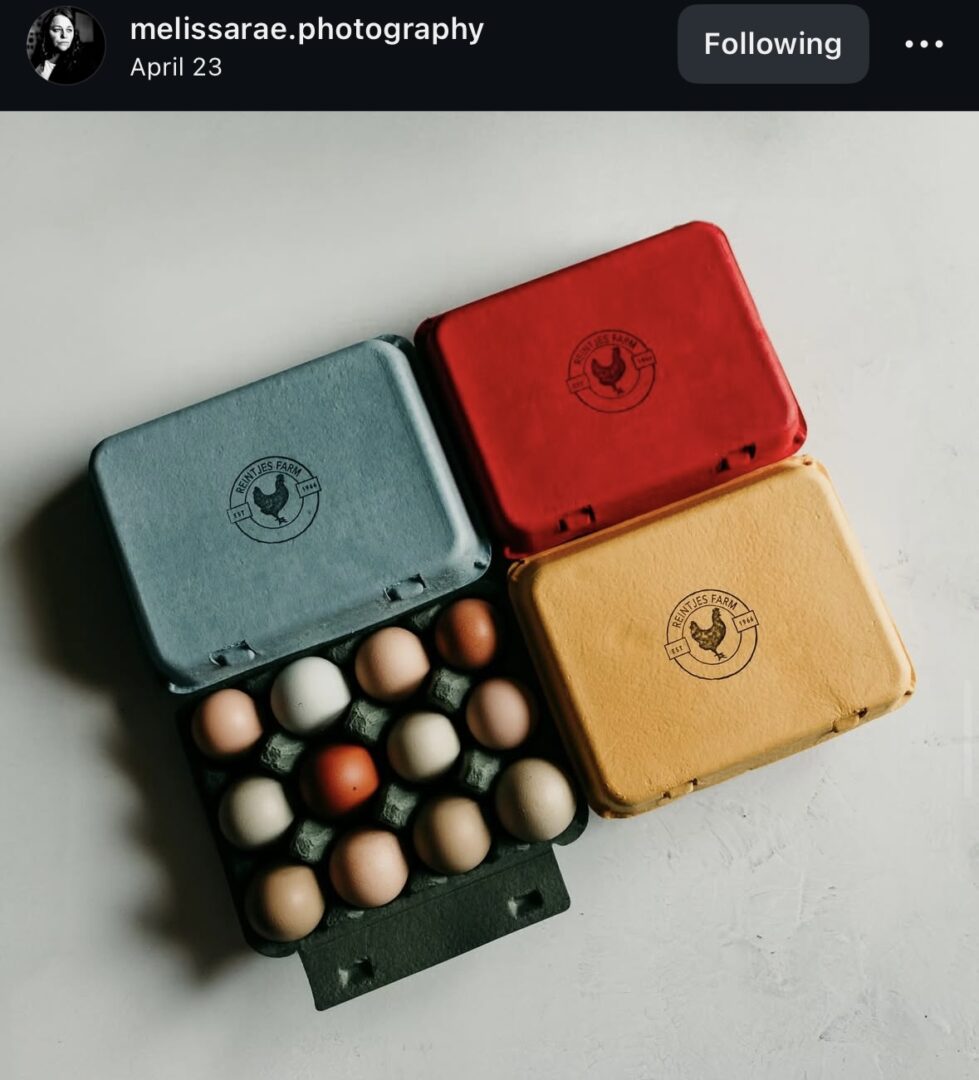 Overhead view of colored cartons and eggs