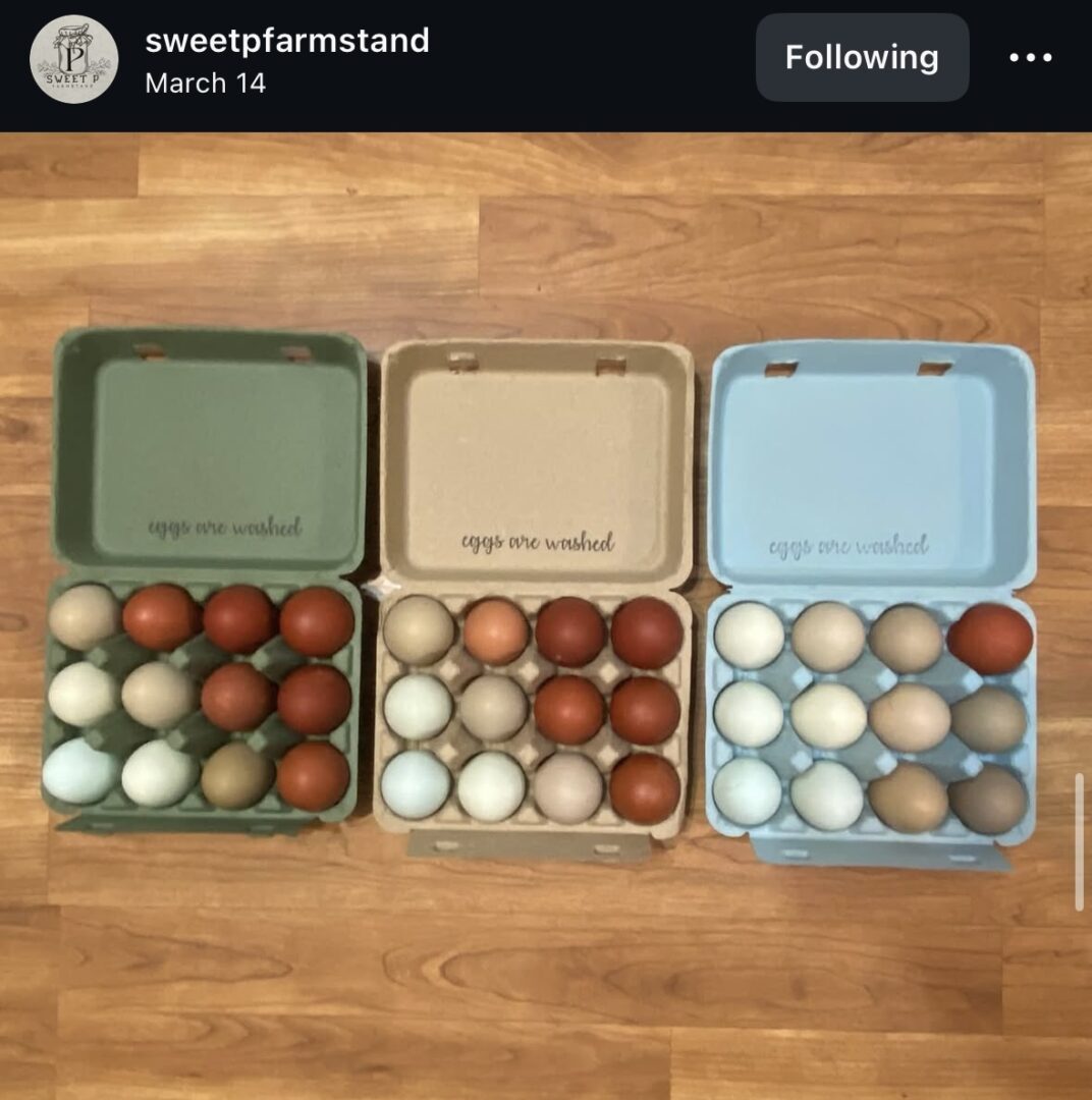Three cartons of assorted colored eggs.